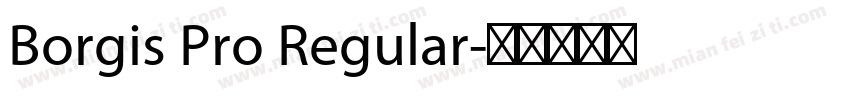 Borgis Pro Regular字体转换